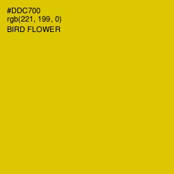 #DDC700 - Bird Flower Color Image